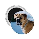 Bullmastiff Refrigerator Magnet