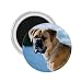 Bullmastiff Refrigerator Magnet