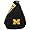 Michigan Wolverines