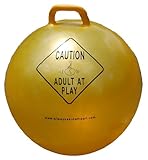 Adult At Play Exercise, Fitness and Stability Ball with Handle and Hand Air Pump