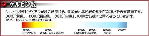 Cover image : HIDバーナー 35W D2C/R/S 6000K 12V/24V 2個セット UVカットクリスタルガラスPHILIPSバルブ(OEM)