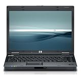 HP Compaq Business Notebook 6910p - Core 2 Duo T8300 / 2.4 GHz - RAM 2 GB - HDD 120 GB - DVD?RW (+R DL) / DVD-RAM - Mobility Radeon X2300 HyperMemory up to 256MB - cellular mdm / mdm ( CDMA 2000 1X EV-DO Rev. A ) - Verizon - Gigabit Ethernet - WLAN : 802.11a/b/g, Bluetooth 2.0 EDR - TPM - fingerprint reader, SmartCard reader - Vista Business / XP Pro downgrade - 14.1 Widescreen TFT 1280 x 800 ( WXGA )