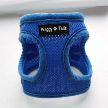 Waggy Tails. Safe, Secure, Comfortable. Easy Fit. Small Dog Soft Vest Harness.(Large, Blue)