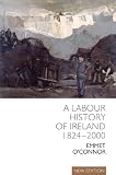 A labour history of Ireland, 1824-2000