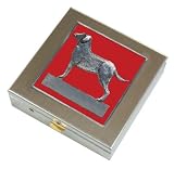 Red Labrador Retriever Vitamin Case Large