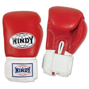 Windy Hook & Loop Sparring Gloves