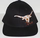Texas Longhorns InTheZone Fitted Hat M/L