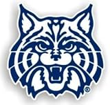 Arizona Wildcats 12 Car Magnet