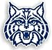 Arizona Wildcats 12 Car Magnet