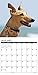 2016 Just Greyhounds Wall Calendar