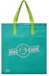 Insulated Tote Bag 14"x16", Aqua