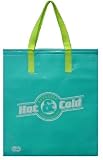 Insulated Tote Bag 14x16, Aqua