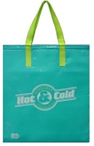Insulated Tote Bag 14"x16", Aqua