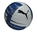 Puma Powercat 5.10 Trainer HS Soccer Ball