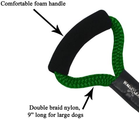 WalleyLead Dog Leash, Size 9, Green