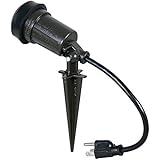 Hubbell SL101B Weatherproof Traditional/Cfl Uses Par 38 Bulb 150-watt Max Portable Spike Light, Bronze