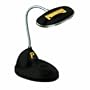 MLB Pittsburgh Pirates LED Desk Lamp