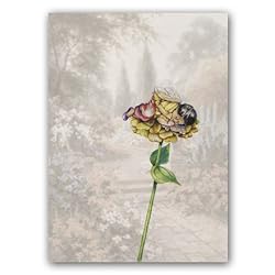 Baby Zinnia Fairy Combo 2 - 5" x 7" Vellum Overlay Greeting Card