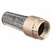 Leakproof Brass Foot Valve - 1in.