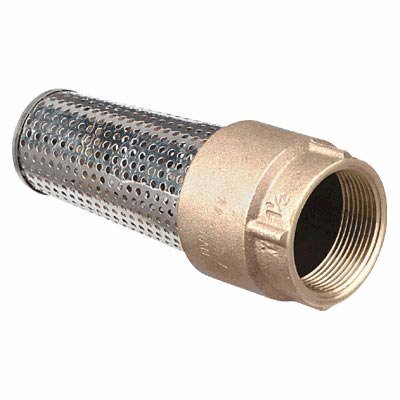 Leakproof Brass Foot Valve - 1in.
