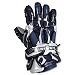 Warrior Superfreak II 12 Glove (Navy)