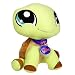 41 zb4aZrOL. AA75  Littlest Pet Shop VIP Turtle