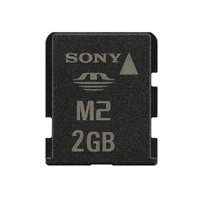 41 zl2ko8zL. SL500 AA280  Sony MS A2GN 2GB Memory Stick Micro