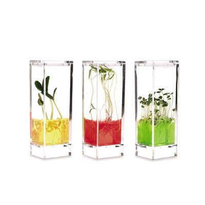 Plant Gel Lab Powder Refill