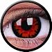 Farbige rote Crazy Fun Kontaktlinsen D�mon Volturi Demon Topqualit�t zu Karneval und Halloween crazy contact lenses 1 Paar mit Kontaktlinsenbeh�lter!