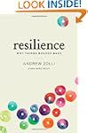 Resilience: Why Things Bounce Back