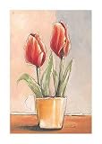 Red Tulips by Vitor Vivaldi Fine Art Print / Poster 19.75 x 27.50 in.