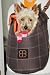 Small Dog Carrier Pet Carrier LENIS PACK-Front Carrier / Backpack Soft Sided Pet Carrier For Small Dogs,Cat Carrier Kitty Rabbit Ferret Chinchilla Guniea Pig Gerbal Size=8.5