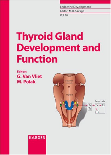 Endocrine-Diseases