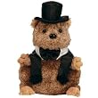 Ty Beanie Babies Punxsutawney Phil 2007 - Groundhog Beanie Baby