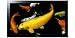 Pioneer KRP-600M 60-Inch Class High-Definition 1080p Flat Panel KURO Monitor, Gloss Black