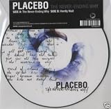 The Never [7" VINYL]