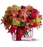 Teleflora's Cheers To You