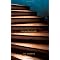 Blueboarder Books III