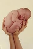 Schmidt Spiele - Anne Geddes, Laura, 500 Teile Puzzle