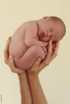Schmidt Spiele - Anne Geddes, Laura,...
