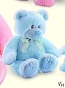 Blue 17" My First Teddy Bear