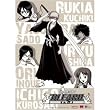 Bleach: Ichigo, Orihime, Sado, Rukia, Kisuki Wall Scroll (Fabric Cloth) GE9714