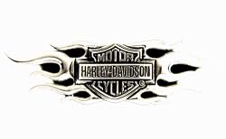 Harley-Davidson&reg; Men's Flame Buckle 99555-04V