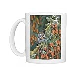 Red Squirrel in spruce tree, feeding on seeds Photo Mugs