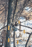 Heritage Farms 75560 Squirrel Go-Round