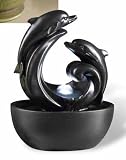 Indoor Waterpot 9"H Decorative Table Top Two Dolphins Fountain