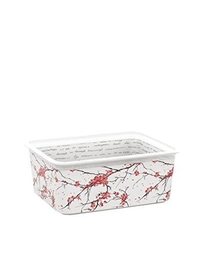 Kis Set Contenitore Organizzazione Spazi 5 pezzi Chic Box Premium M ZEN