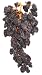 Baby : Frieda's Dried Raisins on the Vine (3 Packages)