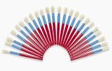 2 Dozen Jumbo Chubby Brushes (24 pcs)