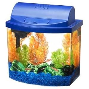 Aqueon 5 Gallon Mini Bow Aquarium Kit - Blue
